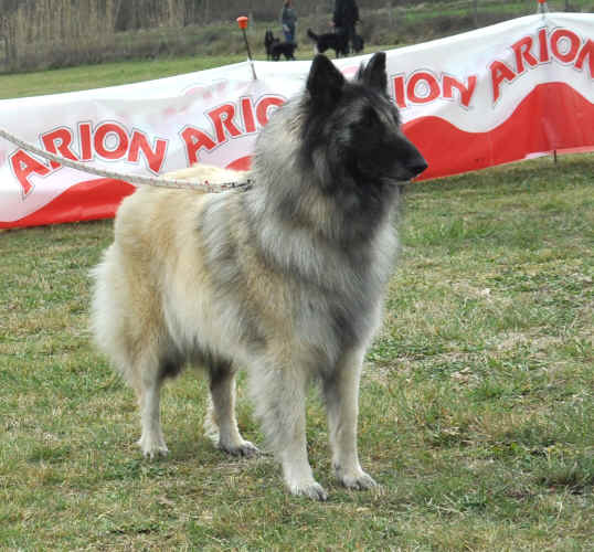 DSC_0548.JPG (313642 bytes)