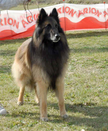 DSC_0557.JPG (234886 bytes)