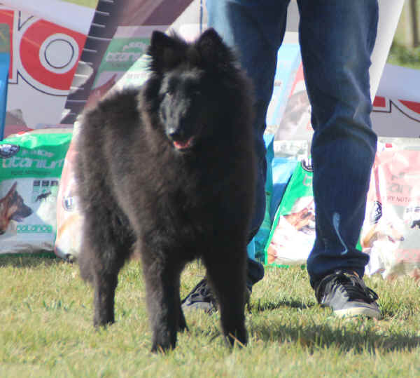 IMG_1275.JPG (238841 bytes)