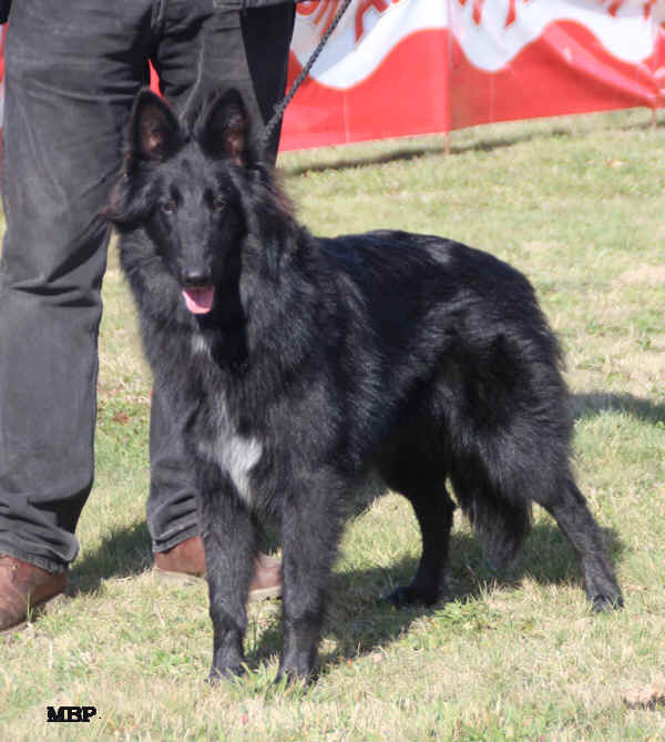 IMG_1285.JPG (221913 bytes)