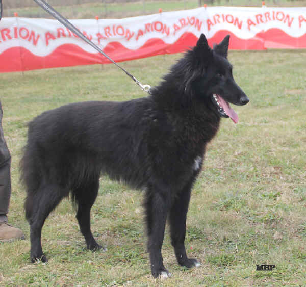 IMG_1324.JPG (261927 bytes)