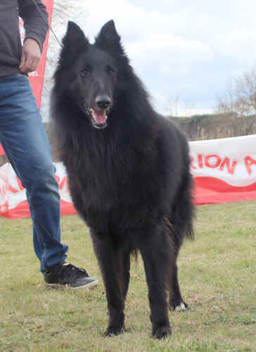 IMG_1416.JPG (158448 bytes)