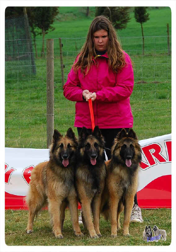 aquivelt.jpg (134092 bytes)