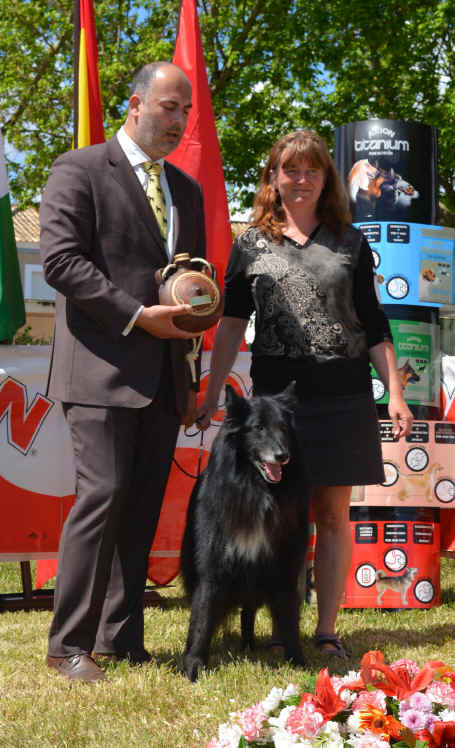 DSC_0433frozen.jpg (646720 bytes)