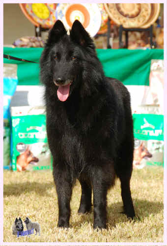 IMG_0513.JPG (1299337 bytes)