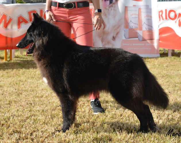 Live in de Sun de Condivicnium 4 (9).JPG (1167144 bytes)