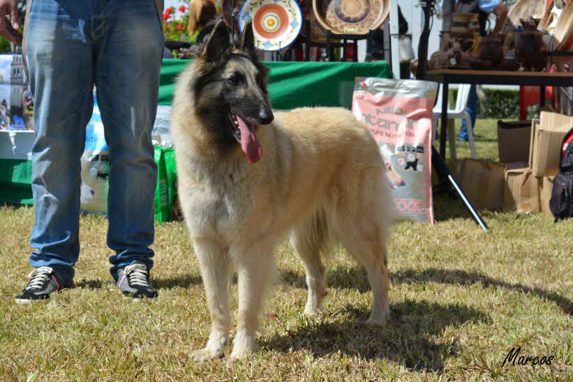 Nadya de la Balona 22  (5).JPG (1898521 bytes)