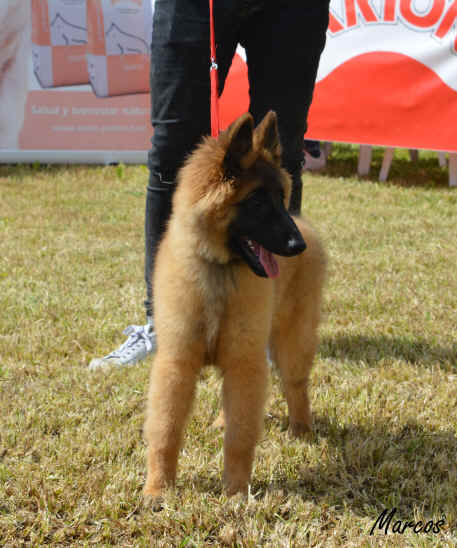 Quora de Pedra Lume 17 (7).JPG (1094518 bytes)