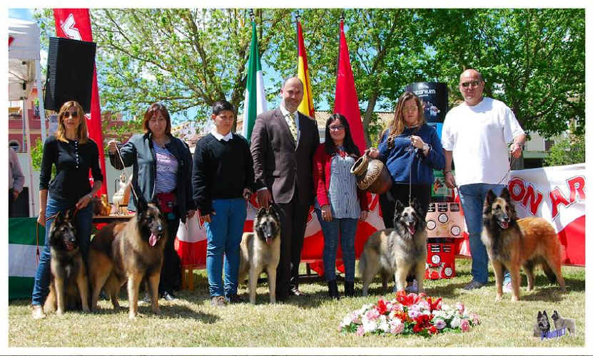 lote cria.jpg (142080 bytes)