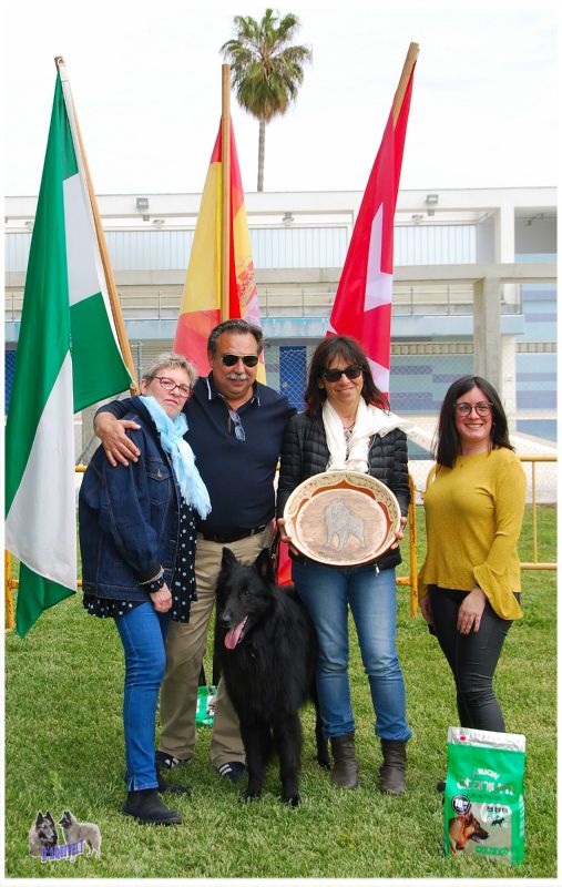 Helter Skelter Del �Alta Via Mejor groenendael