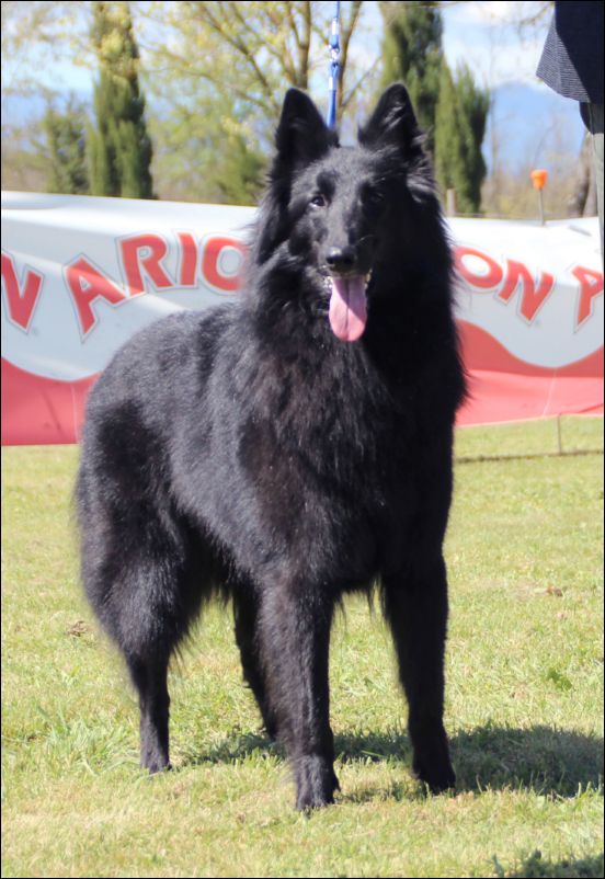 20-paris de belliamic2i