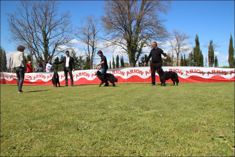 47-intermedia hembras