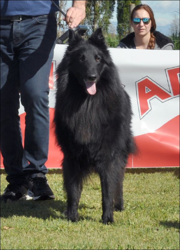 9-junior dit etancs sauvages