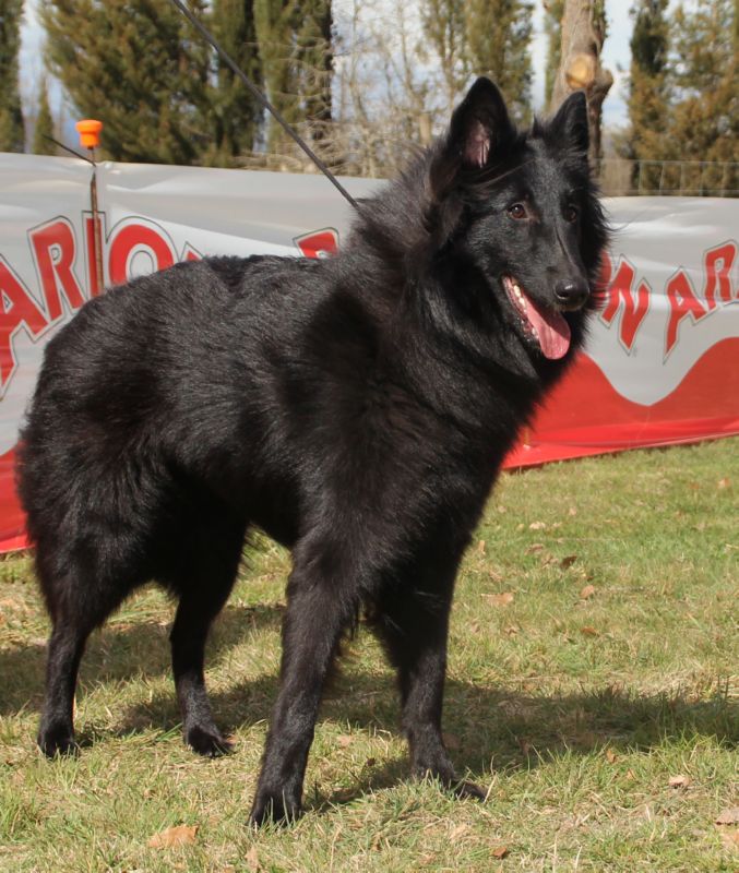 Nuance Des Etangs Sauvages  EXC1 joven hembra MRJ Bis joven 