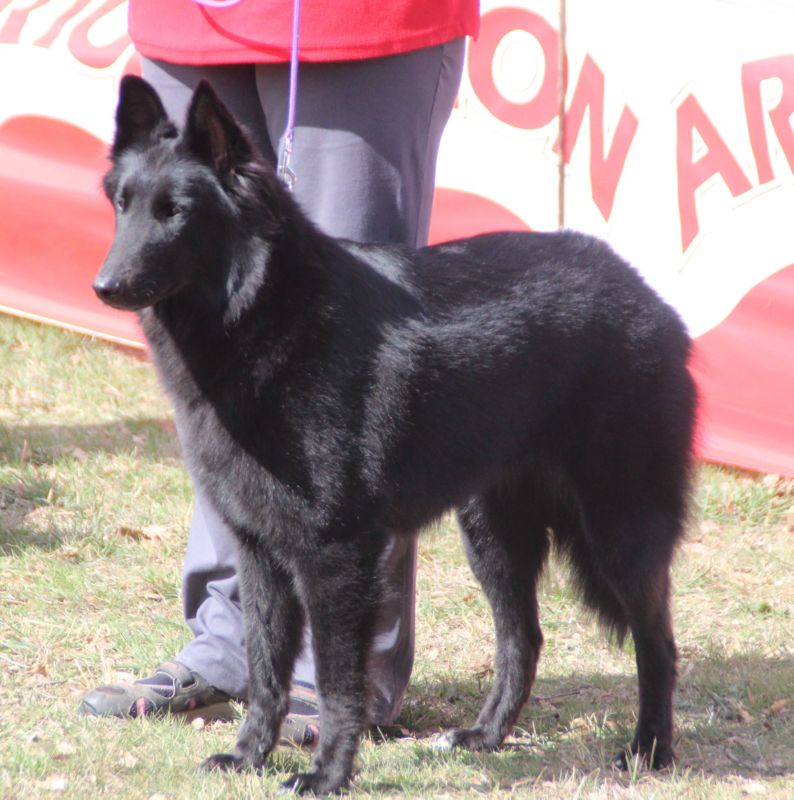 Quia del Robigar MB6 abierta hembras