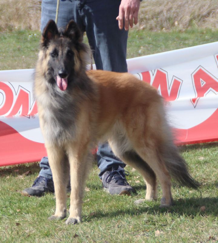 Paris de L�Anoia EXC1 abierta hembras CCPB y MR