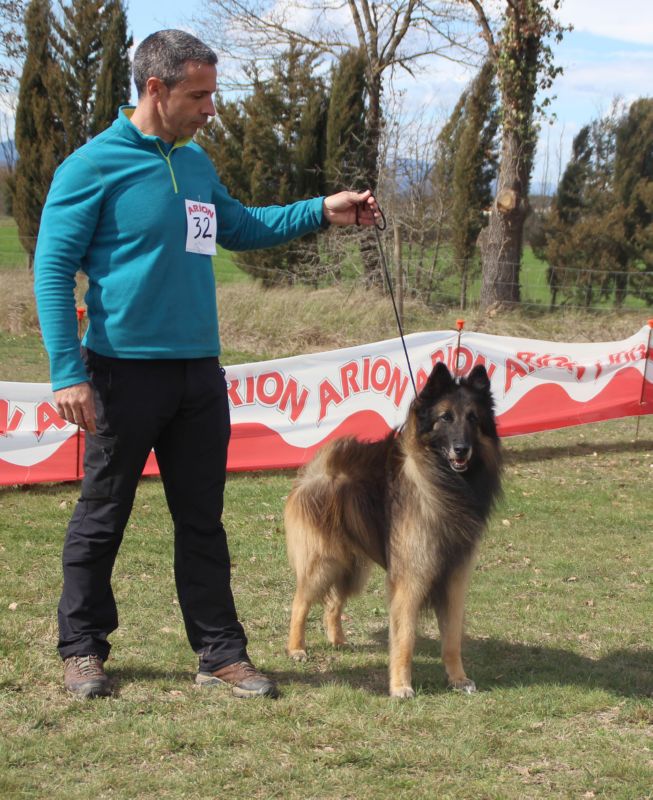 CHCEPPB.GCHCEPPB.CHE.Marko del Clamiu EXC 1 Campeones de club.