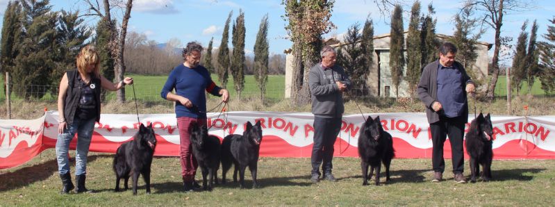 BIS Lote de Cr�a  Des Etangs Sauvages 