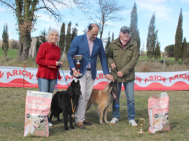 Eleccion del BIS Quen de Belliamici