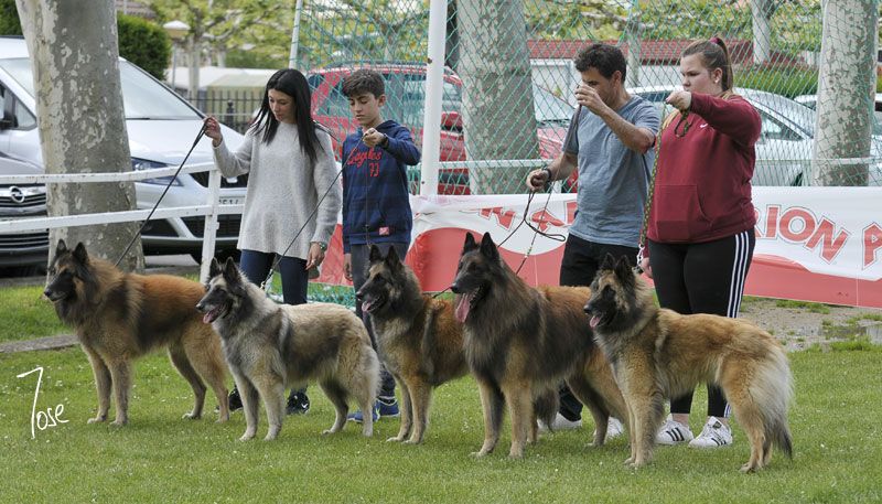 BIS Lote De Cr�a D�Aquivelt