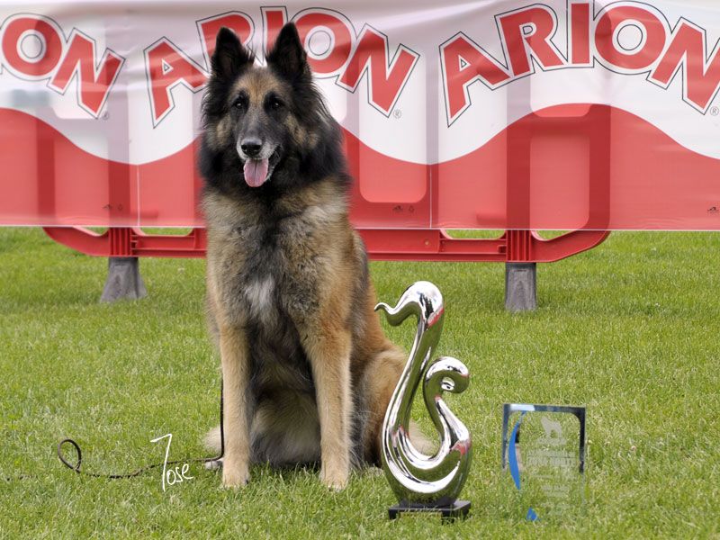 BIS Maya D�Aquivelt