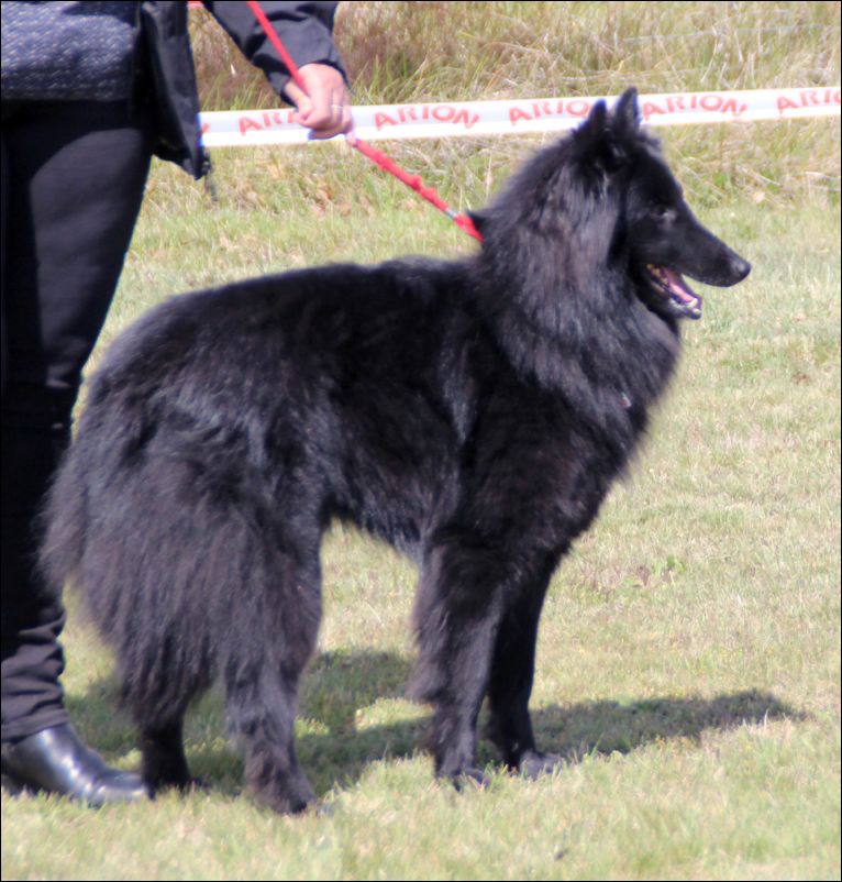 19b-romadebelliamici