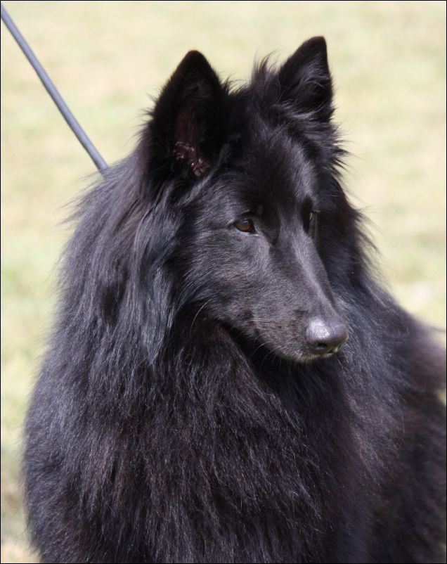 23b2-pkalmadecanbarca