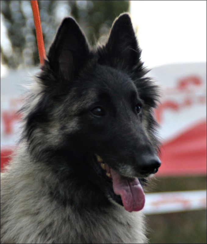 30a-perladefontenestas