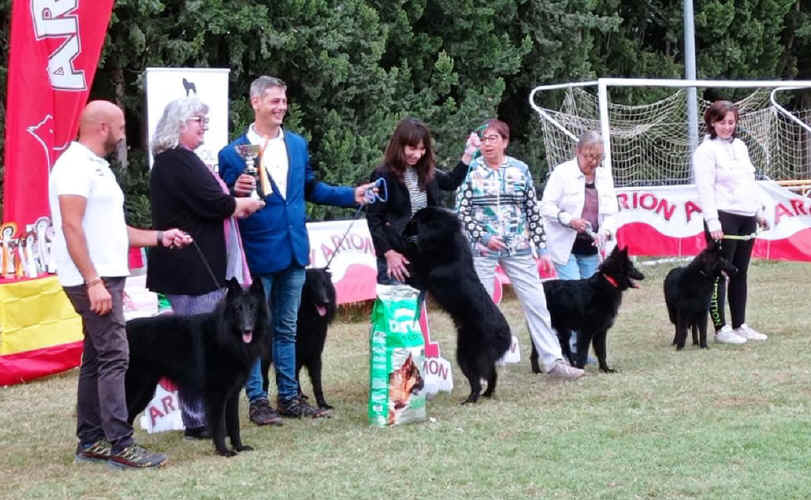 brengoetxe.jpg (125126 bytes)