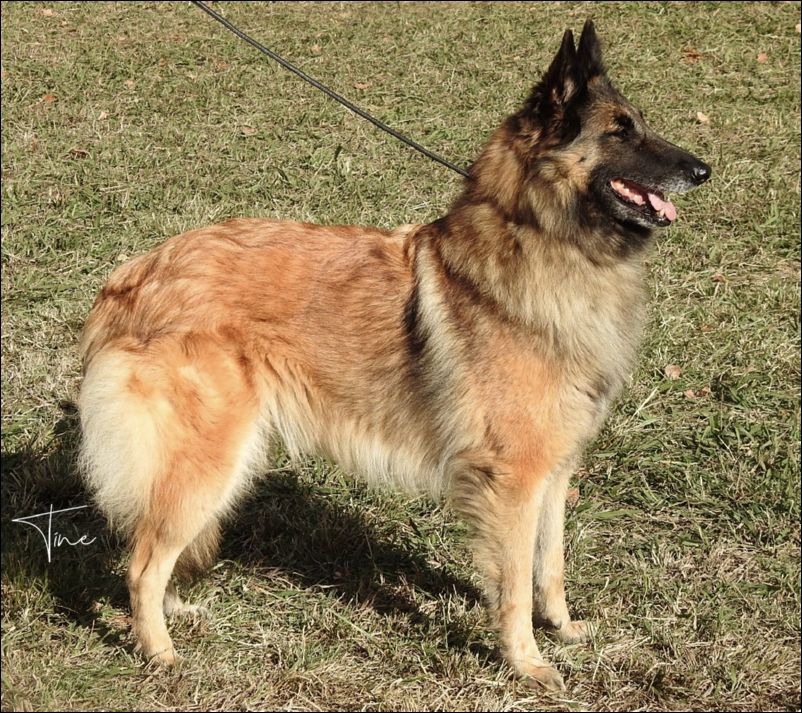 Dalila Del Mar Menor EXC3 Abierta hembras.