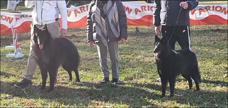 Eleccion MR Groenendael.