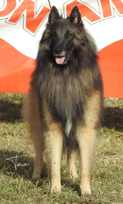 39 (2).JPG (744554 bytes)