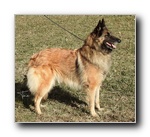 Dalila Del Mar Menor EXC3 Abierta hembras.